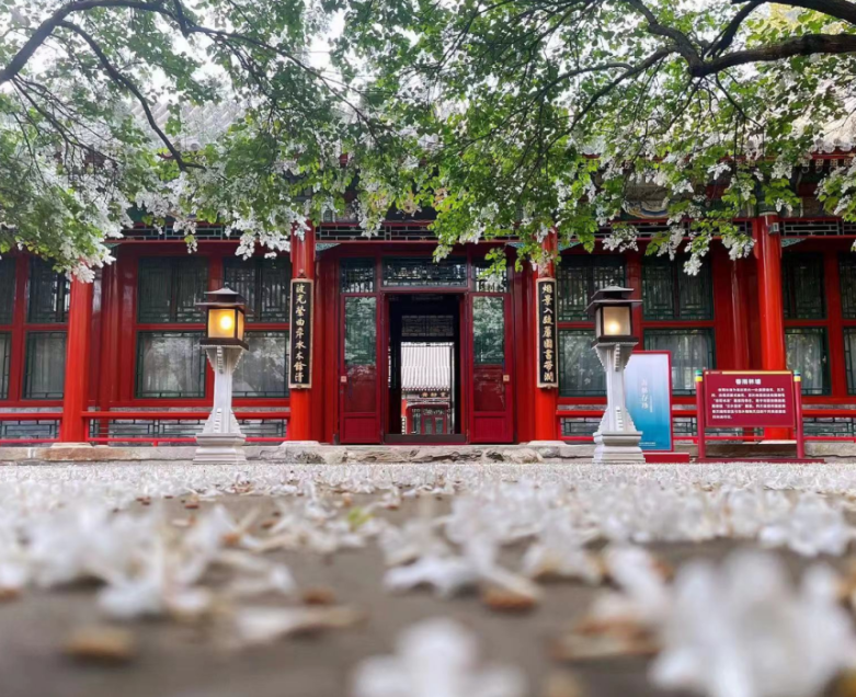 北京市属公园庆祝国庆，红色精神传承蓬勃发展